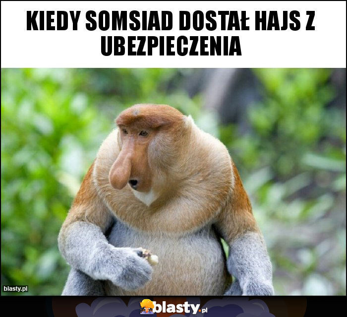 KIEDY SOMSIAD DOSTAŁ HAJS Z UBEZPIECZENIA KIEDY SOMSIAD DOSTAŁ HAJS Z UBEZPIECZENIA