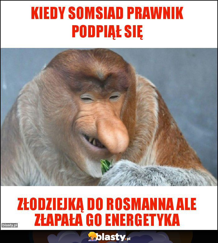 KIEDY SOMSIAD PRAWNIK PODPIĄŁ SIĘ KIEDY SOMSIAD PRAWNIK PODPIĄŁ SIĘ