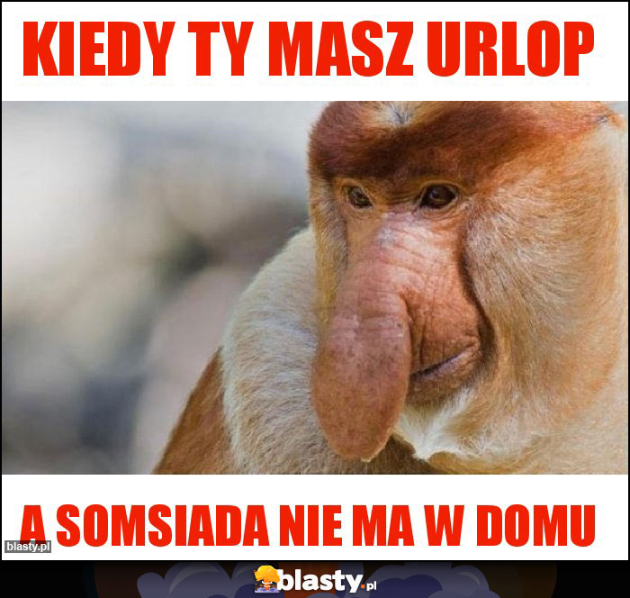 Kiedy ty masz urlop Kiedy ty masz urlop