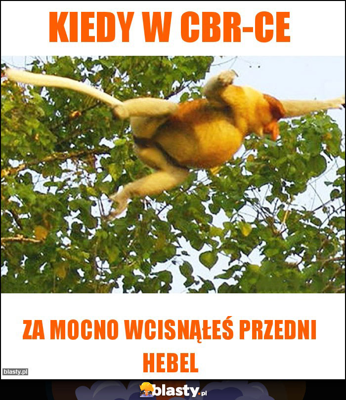 Kiedy w CBR-ce Kiedy w CBR-ce