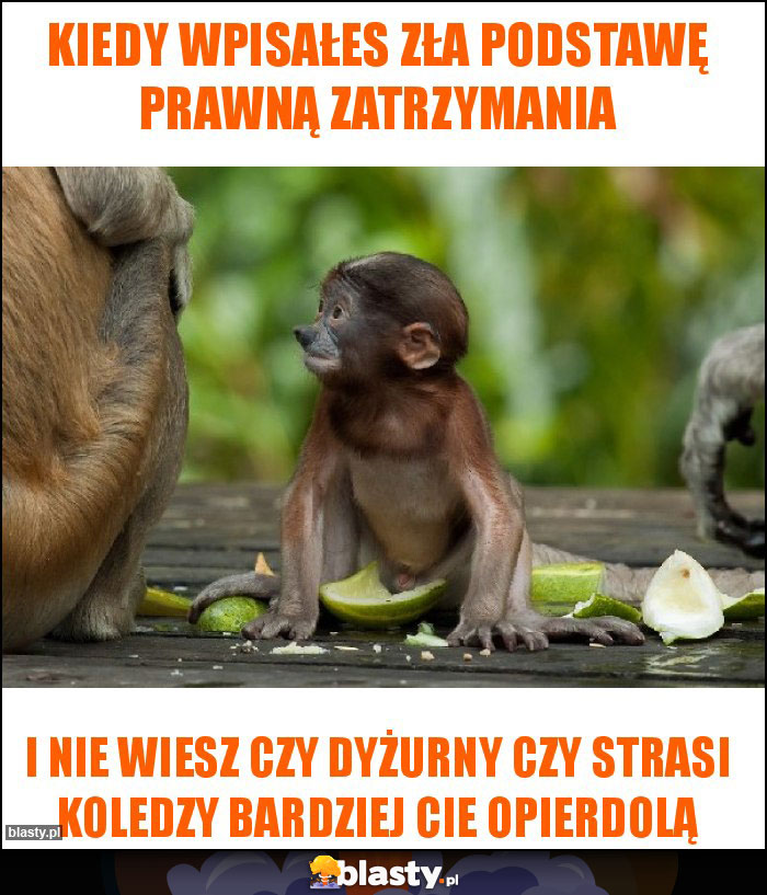 Kiedy wpisałes zła podstawę prawną zatrzymania Kiedy wpisałes zła podstawę prawną zatrzymania