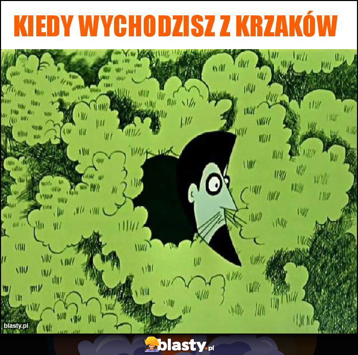 Kiedy wychodzisz z krzaków Kiedy wychodzisz z krzaków