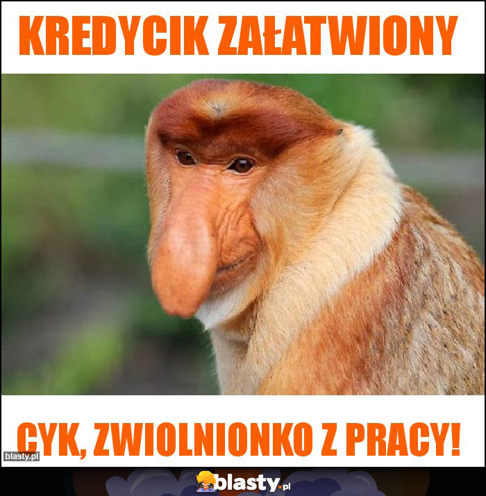 Kredycik załatwiony Kredycik załatwiony