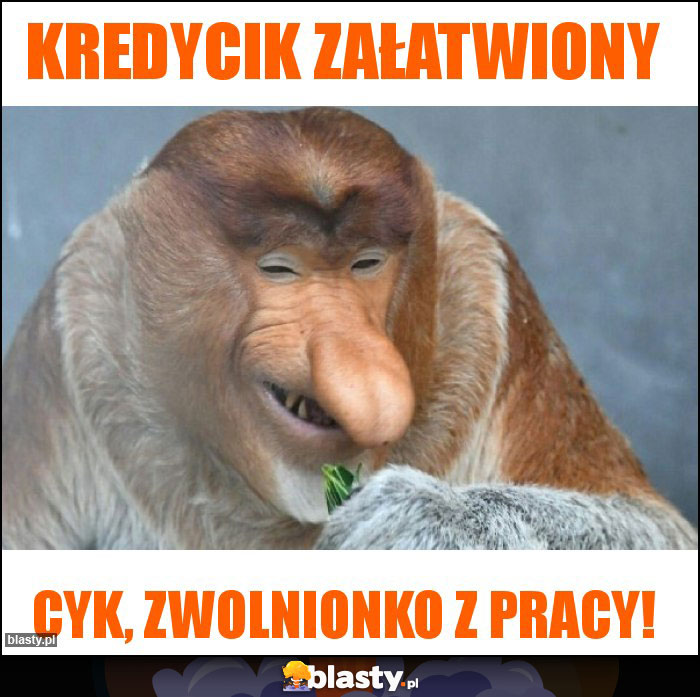Kredycik załatwiony Kredycik załatwiony