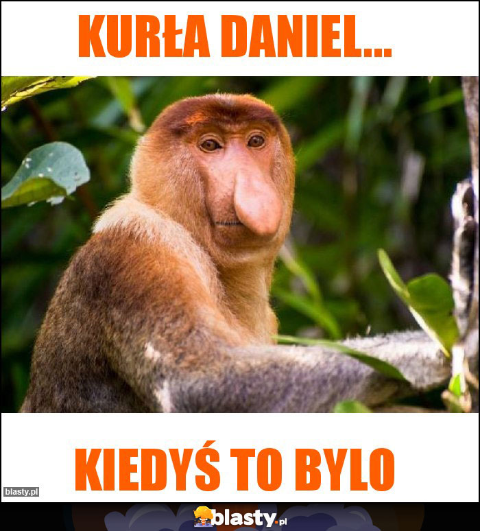 Kurła Daniel... Kurła Daniel...