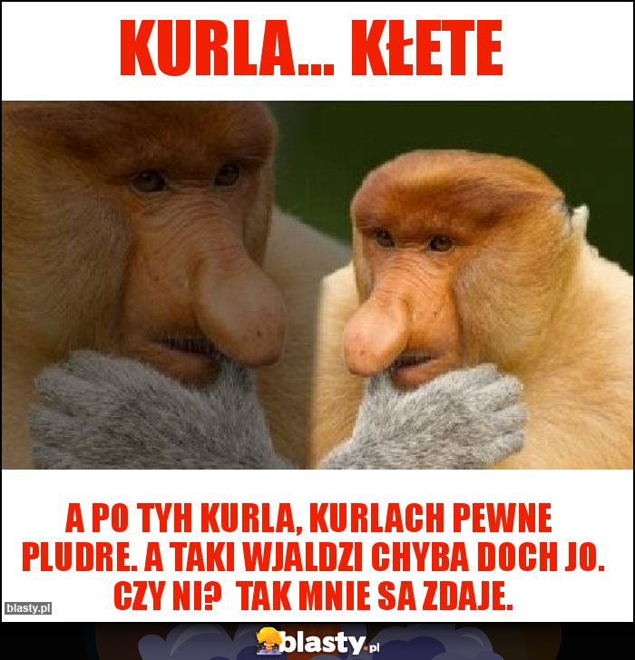 Kurla... kłete Kurla... kłete