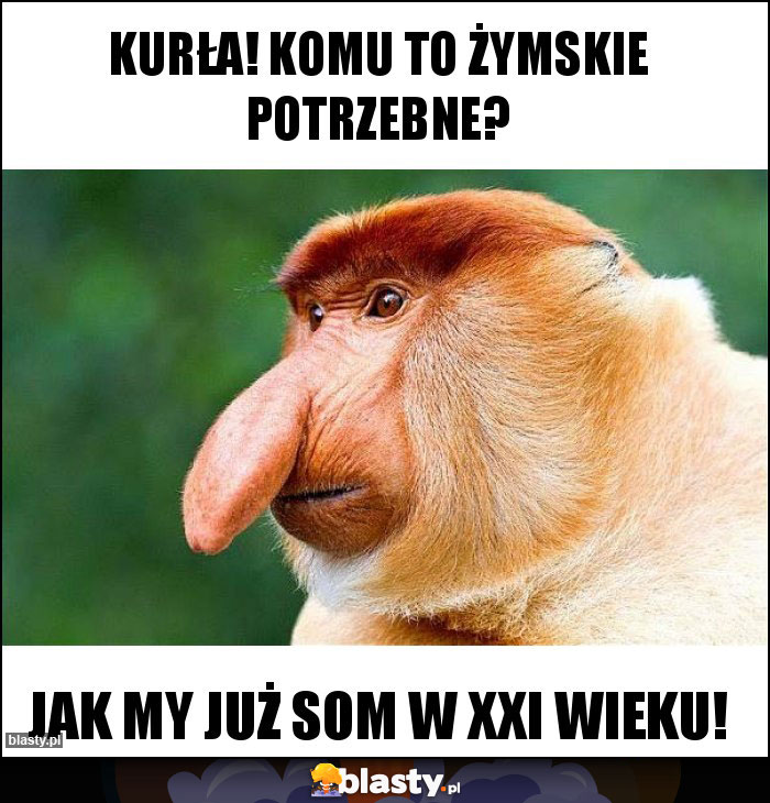 Kurła! Komu to żymskie potrzebne? Kurła! Komu to żymskie potrzebne?