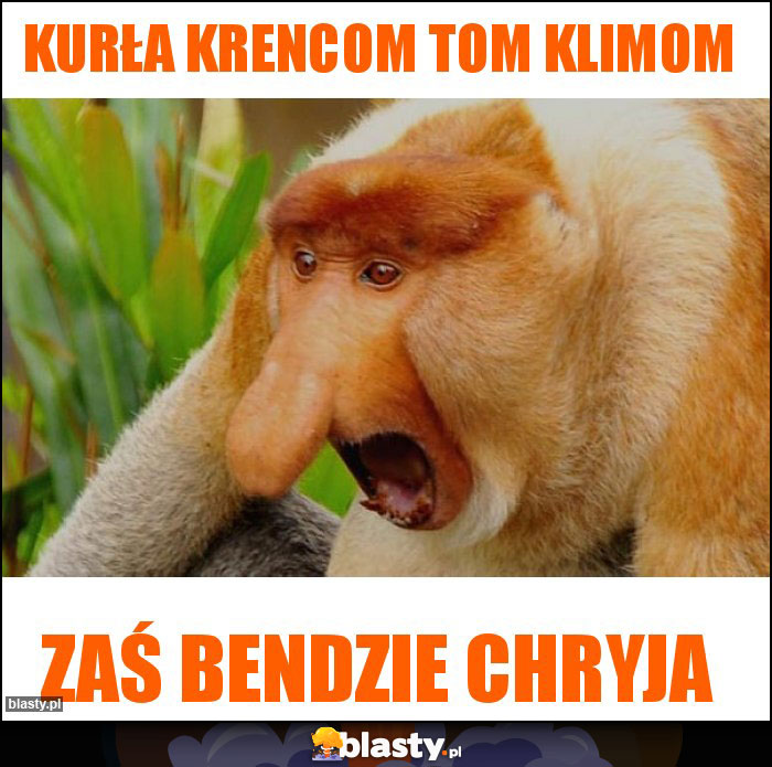KURŁA KRENCOM TOM KLIMOM KURŁA KRENCOM TOM KLIMOM