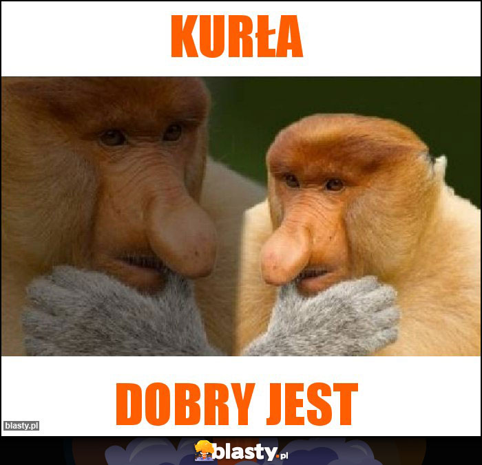KURŁA
