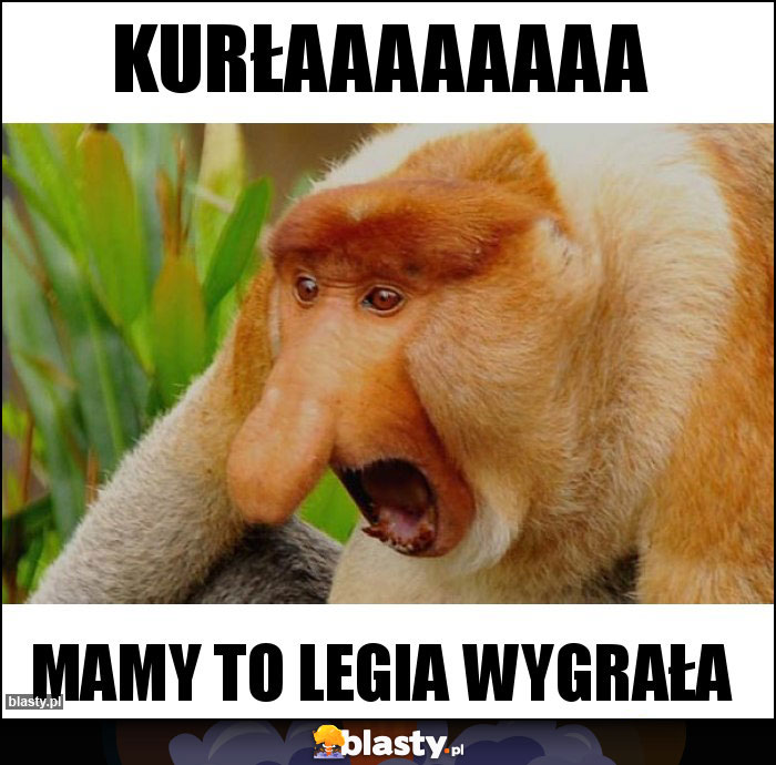 Kurłaaaaaaaa Kurłaaaaaaaa