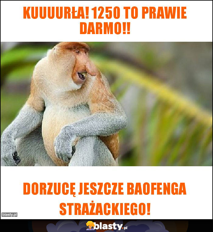 KUUUURŁA! 1250 to prawie darmo!! KUUUURŁA! 1250 to prawie darmo!!