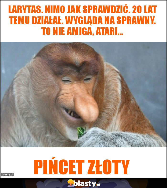 Larytas. Nimo jak sprawdzić. 20 lat temu działał. Wygląda na sprawny. To nie Amiga, Atari... Larytas. Nimo jak sprawdzić. 20 lat temu działał. Wygląda na sprawny. To nie Amiga, Atari...