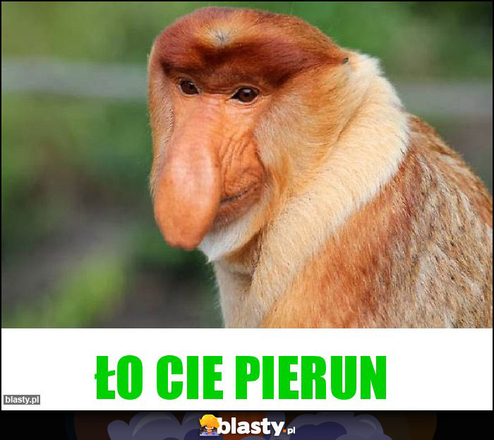 ŁO CIE PIERUN ŁO CIE PIERUN
