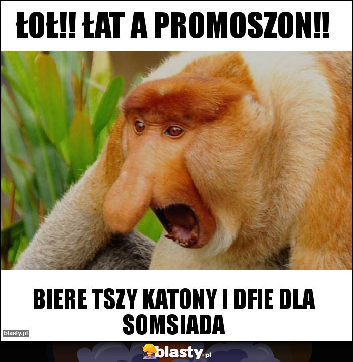 Łoł!! Łat a promoszon!! Łoł!! Łat a promoszon!!