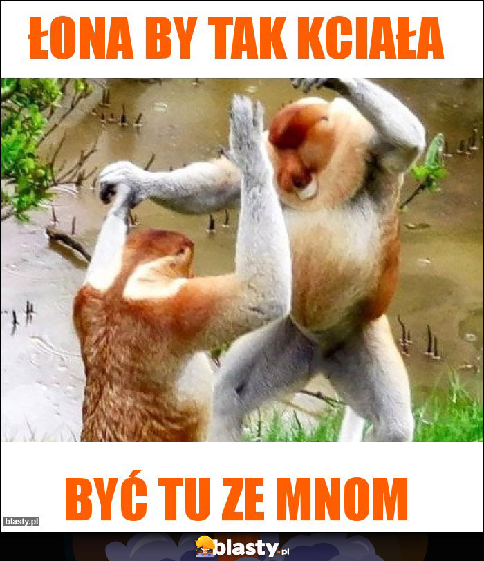 Łona by tak kciała Łona by tak kciała