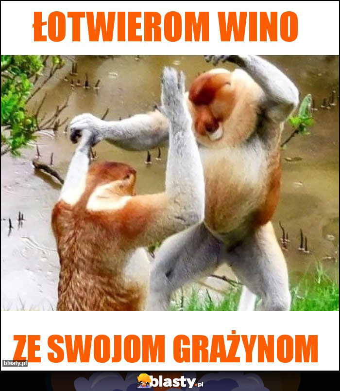 Łotwierom wino Łotwierom wino