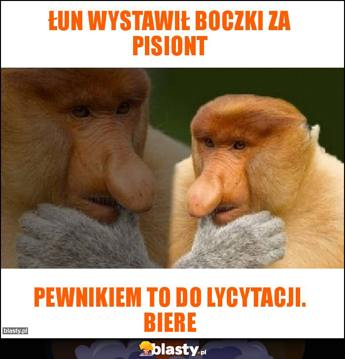 łun wystawił boczki za pisiont łun wystawił boczki za pisiont