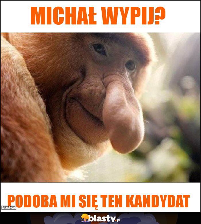 Michał Wypij? Michał Wypij?