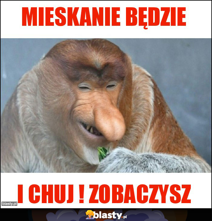 Mieskanie będzie Mieskanie będzie