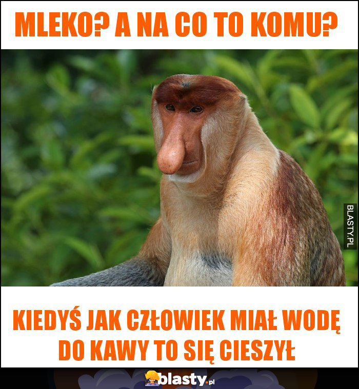 MLEKO? A NA CO TO KOMU?