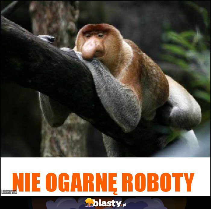 Nie ogarnę roboty