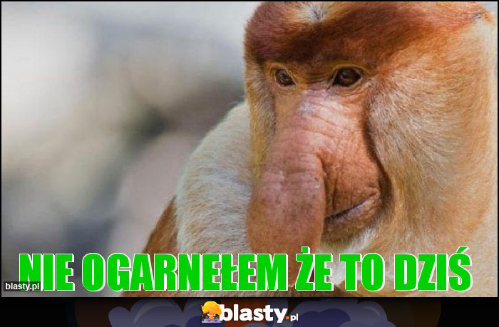 Nie ogarnełem że to dziś Nie ogarnełem że to dziś
