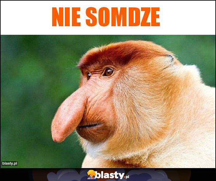 Nie somdze Nie somdze
