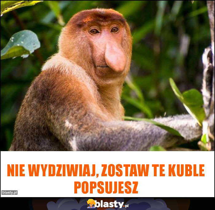 Nie wydziwiaj, zostaw te kuble popsujesz Nie wydziwiaj, zostaw te kuble popsujesz