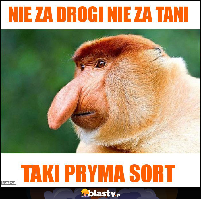 Nie za drogi nie za tani Nie za drogi nie za tani