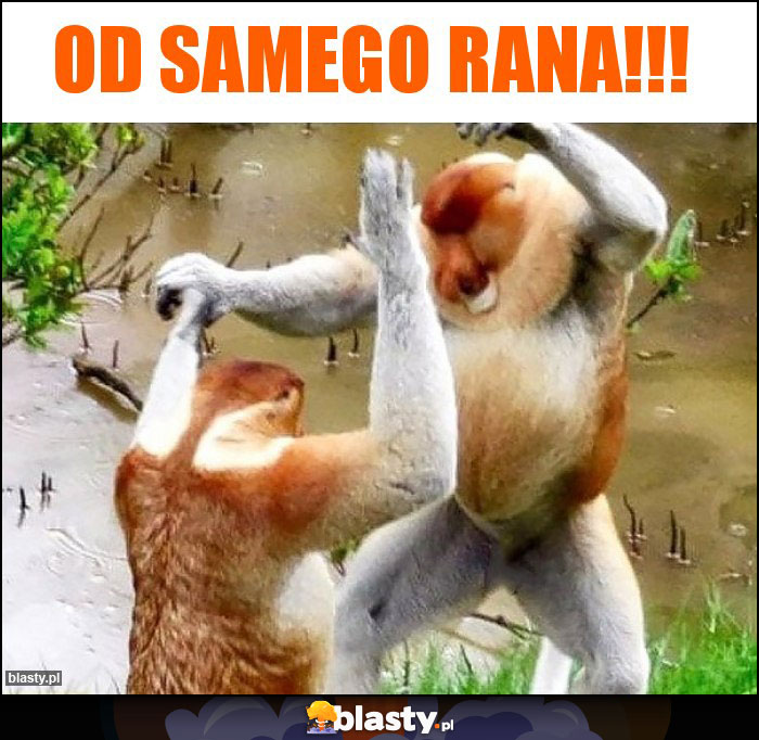 Od samego rana!!!