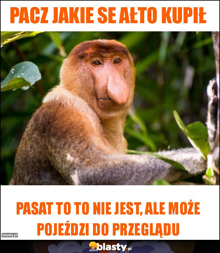 Pacz jakie se ałto kupił Pacz jakie se ałto kupił