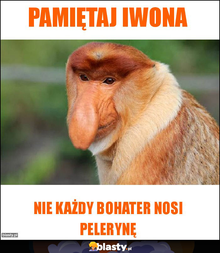 Pamiętaj Iwona Pamiętaj Iwona