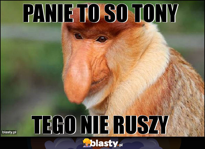 Panie to so tony Panie to so tony
