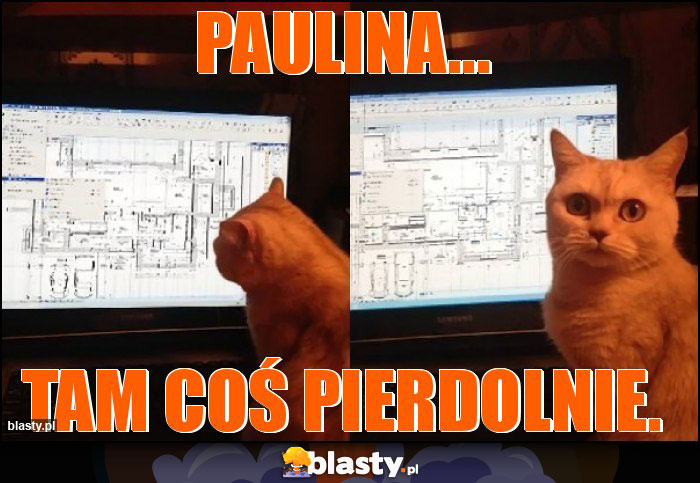 Paulina... Paulina...