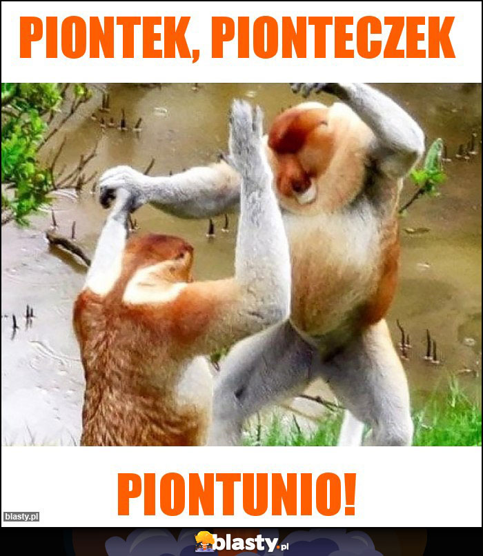 Piontek, pionteczek Piontek, pionteczek