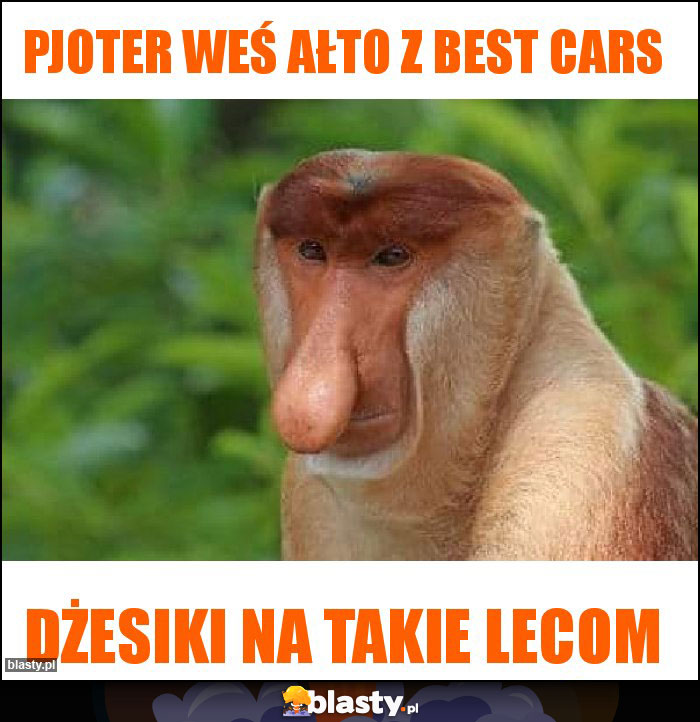 Pjoter weś ałto z Best Cars Pjoter weś ałto z Best Cars
