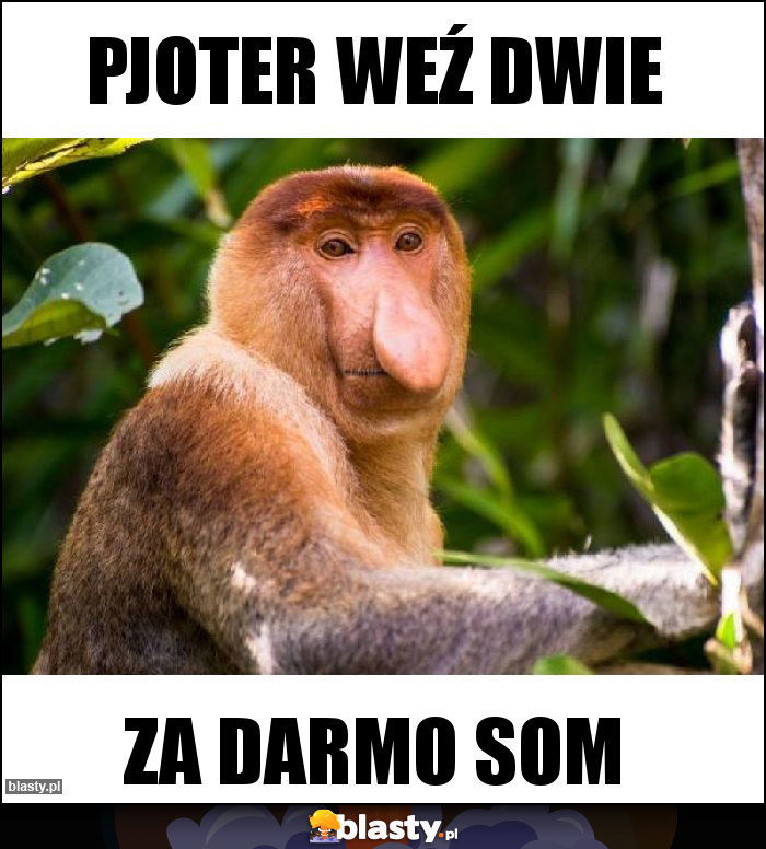 pjoter weź dwie