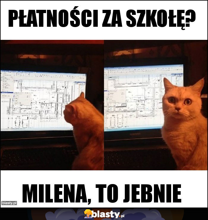 Płatności za szkołę? Płatności za szkołę?