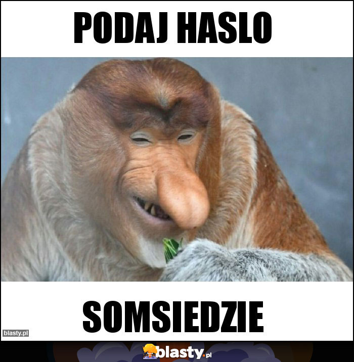 Podaj haslo Podaj haslo