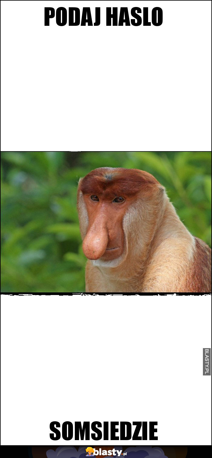 Podaj haslo Podaj haslo