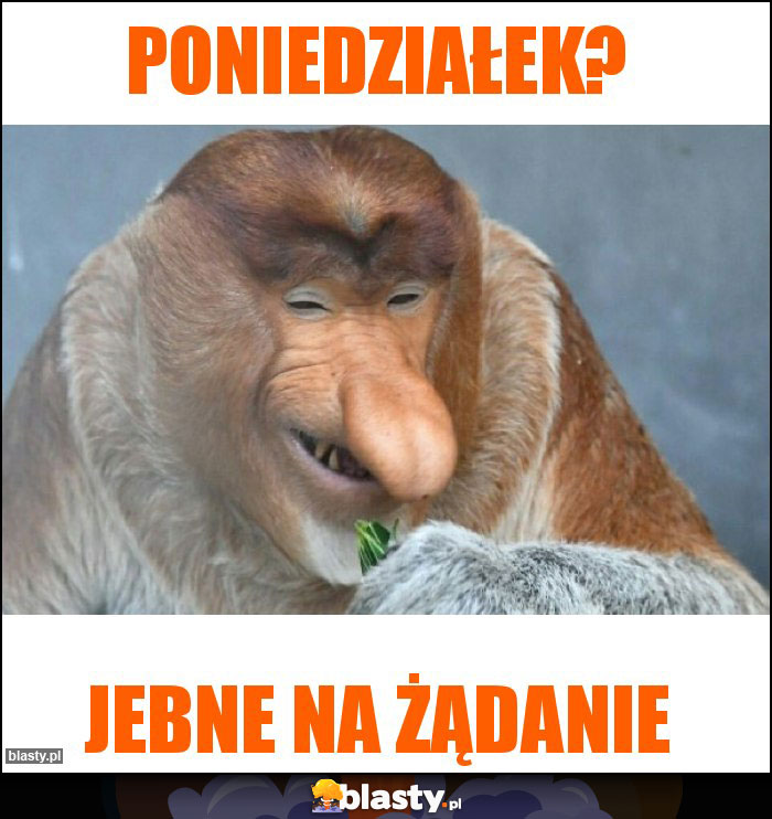 Poniedziałek? Poniedziałek?