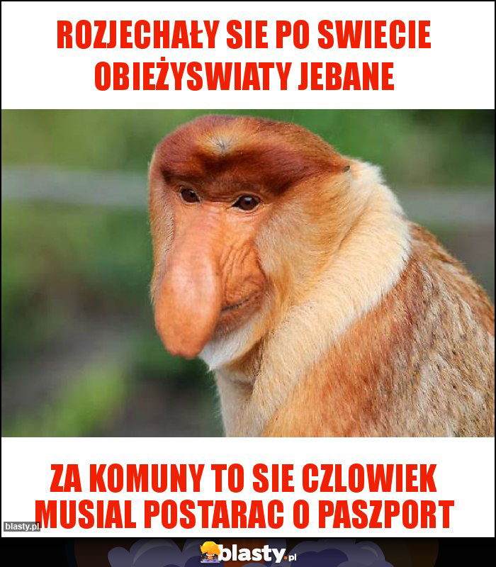 ROZJECHAŁY SIE PO SWIECIE OBIEŻYSWIATY JEBANE ROZJECHAŁY SIE PO SWIECIE OBIEŻYSWIATY JEBANE