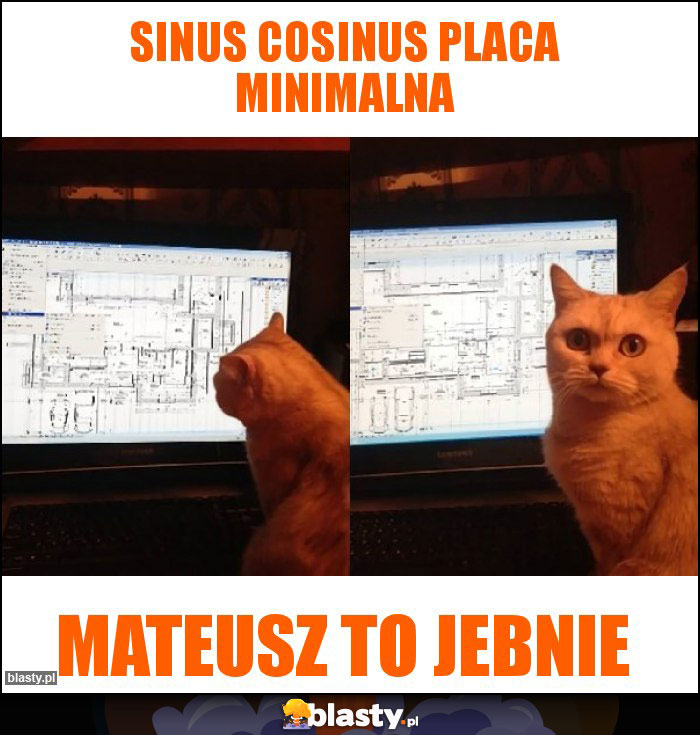 Sinus cosinus placa minimalna Sinus cosinus placa minimalna