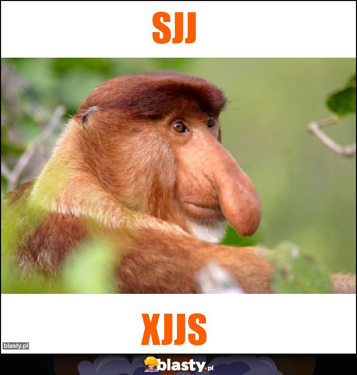 Sjj