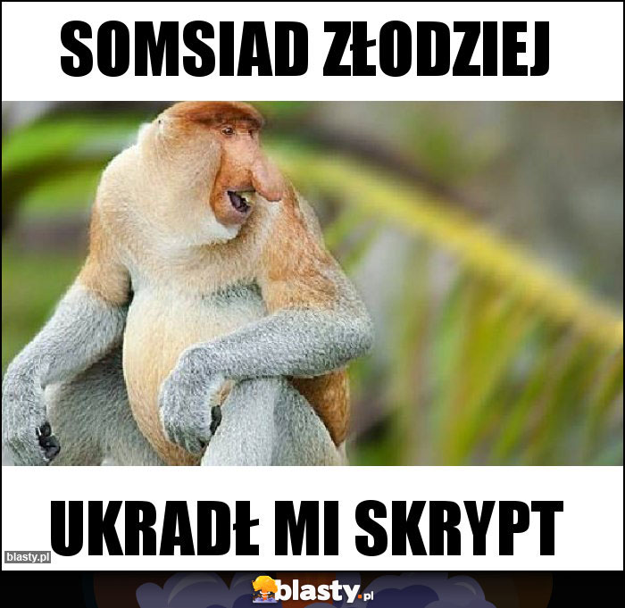 Somsiad złodziej Somsiad złodziej