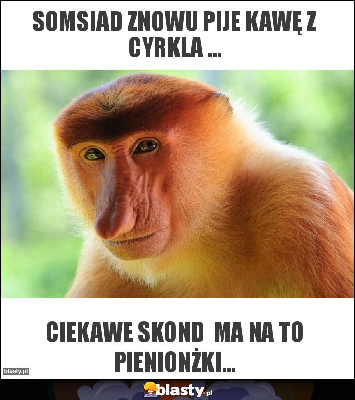 Somsiad znowu pije kawę z Cyrkla ... Somsiad znowu pije kawę z Cyrkla ...