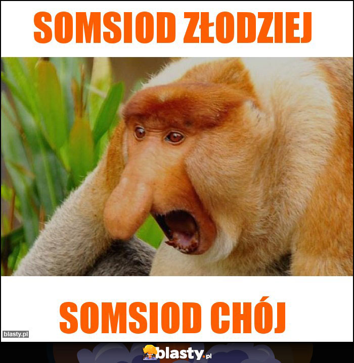 Somsiod złodziej Somsiod złodziej