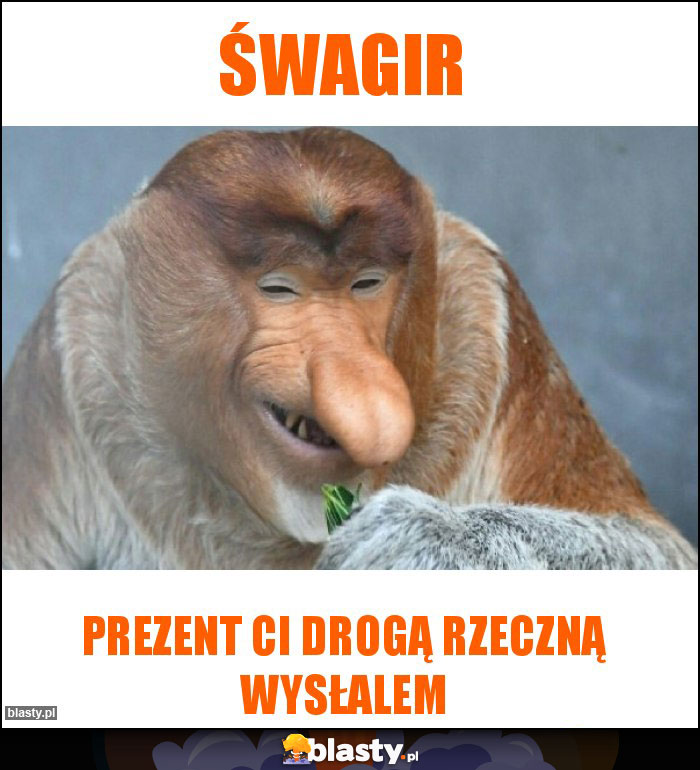 Śwagir