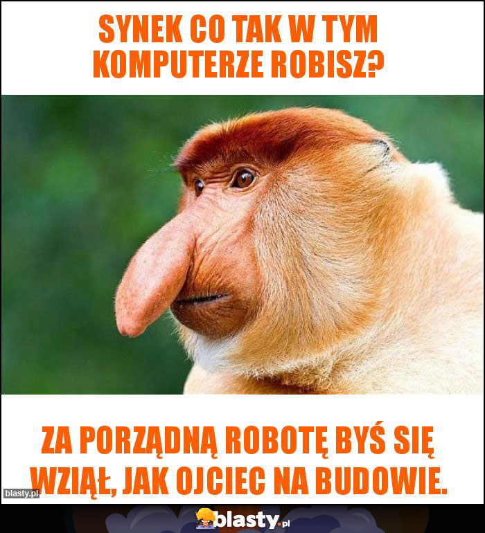 Synek co tak w tym komputerze robisz? Synek co tak w tym komputerze robisz?