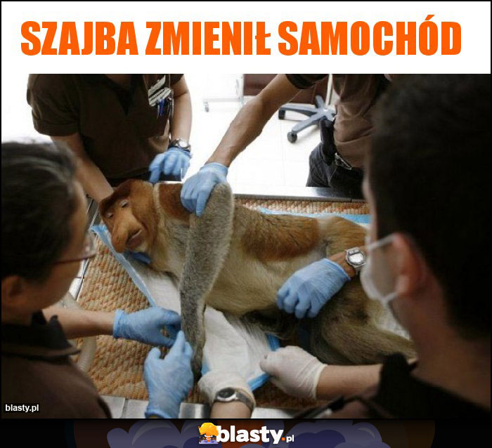 Szajba zmienił samochód Szajba zmienił samochód